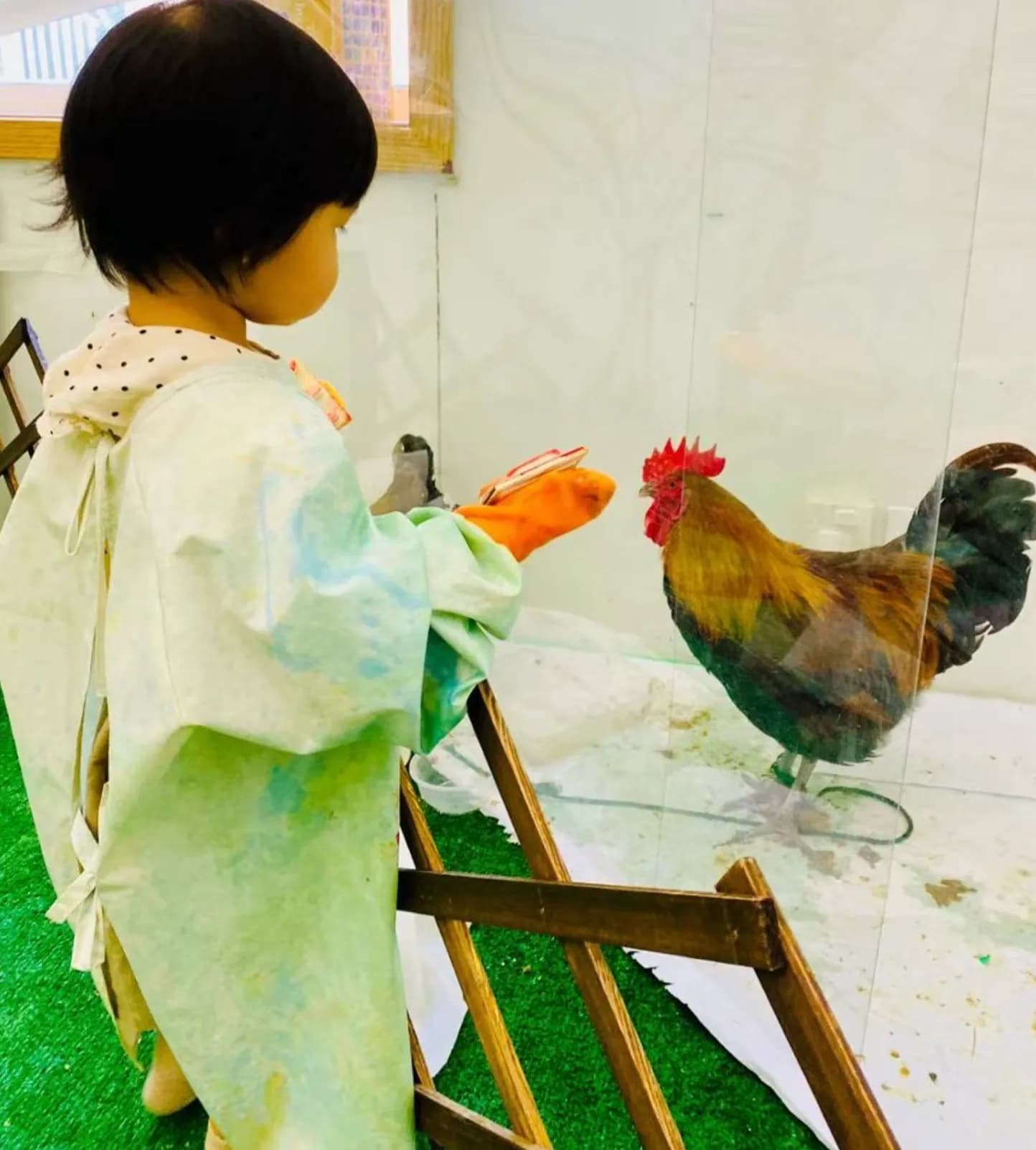 2–4 岁|认知启蒙与自主表达 现场 8