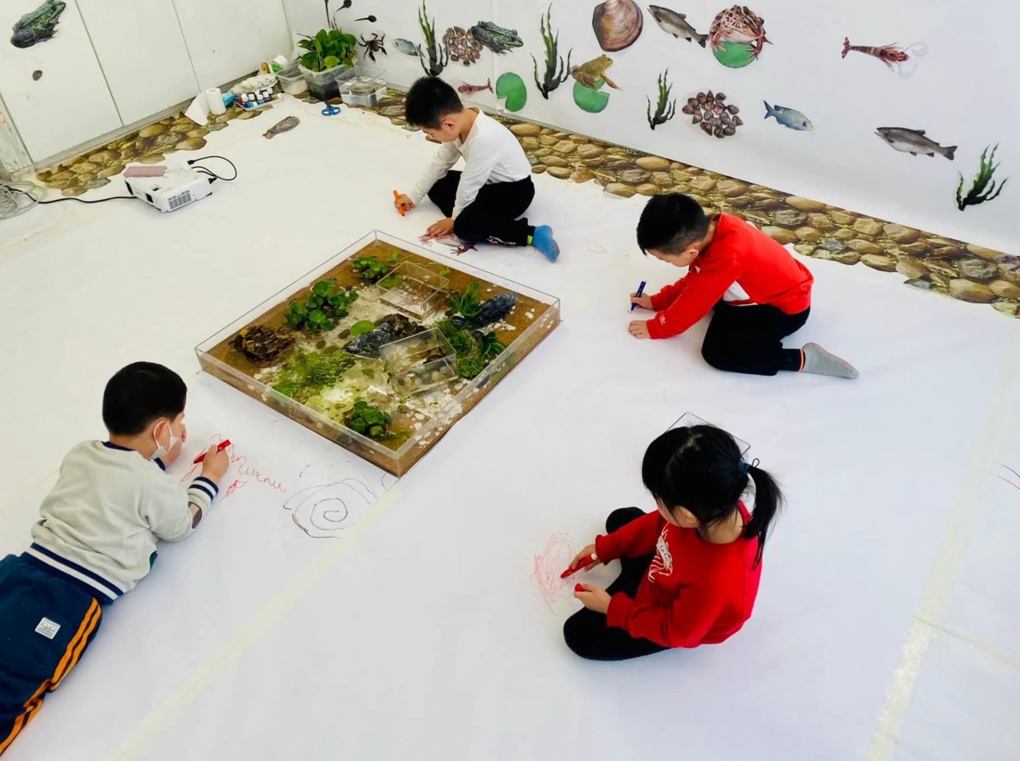 4–6 岁|思维进阶与创意表达 现场 15